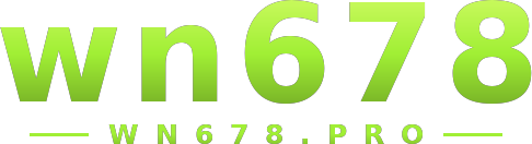 wn678 logo